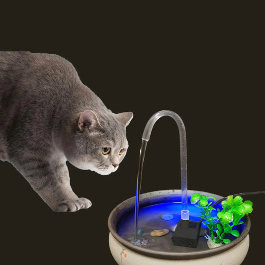 USB Cat Water FountainAutomatic Pet Fountain with Acrylic Curved Outlet TubeDog Water Dispenser for CampingOutdoors PC101-1